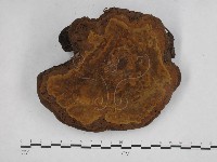 登錄號:F0013295藏品圖，第1張