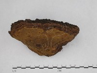 登錄號:F0013295藏品圖，第5張