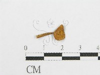 登錄號:F0013296藏品圖，第3張