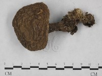 登錄號:F0013298藏品圖，第1張