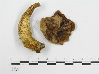 登錄號:F0013300藏品圖，第1張