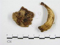 登錄號:F0013300藏品圖，第4張