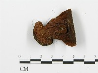 登錄號:F0013302藏品圖，第3張