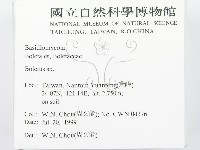 登錄號:F0013303藏品圖，第2張