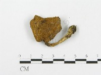 登錄號:F0013305藏品圖，第1張
