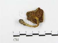 登錄號:F0013305藏品圖，第3張