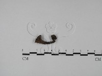登錄號:F0013306藏品圖，第1張