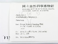 登錄號:F0013307藏品圖，第2張