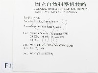登錄號:F0013308藏品圖，第2張