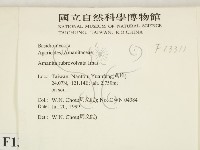 登錄號:F0013311藏品圖，第2張