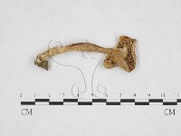 登錄號:F0013311藏品圖，第3張