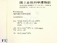 登錄號:F0013315藏品圖，第2張