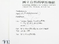登錄號:F0013316藏品圖，第2張