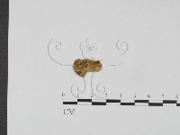 登錄號:F0013317藏品圖，第1張