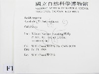 登錄號:F0013318藏品圖，第2張