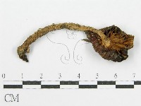 登錄號:F0013318藏品圖，第1張