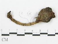 登錄號:F0013318藏品圖，第3張
