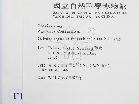 登錄號:F0013319藏品圖，第2張