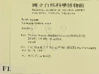 登錄號:F0013322藏品圖，第2張