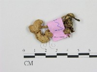 登錄號:F0013326藏品圖，第3張