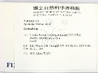 登錄號:F0013328藏品圖，第2張