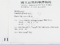 登錄號:F0013329藏品圖，第2張