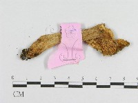 登錄號:F0013329藏品圖，第3張