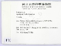 登錄號:F0013331藏品圖，第2張
