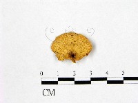 登錄號:F0013331藏品圖，第1張