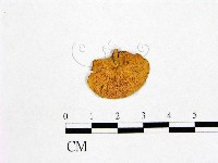 登錄號:F0013331藏品圖，第3張