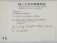 登錄號:F0013332藏品圖，第2張
