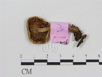 登錄號:F0013334藏品圖，第3張