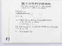 登錄號:F0013336藏品圖，第2張