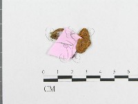登錄號:F0013336藏品圖，第3張
