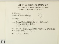 小菇屬藏品圖，第2張