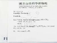 紅菇屬藏品圖，第2張