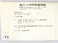 登錄號:F0013340藏品圖，第2張