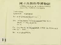 登錄號:F0013342藏品圖，第2張