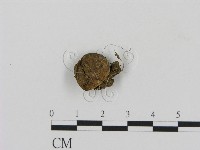 登錄號:F0013342藏品圖，第1張
