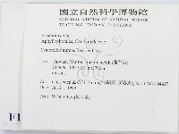 登錄號:F0013343藏品圖，第2張
