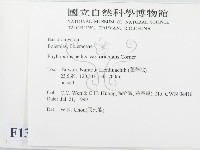 登錄號:F0013344藏品圖，第2張
