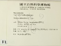 登錄號:F0013345藏品圖，第2張