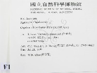 登錄號:F0013346藏品圖，第2張