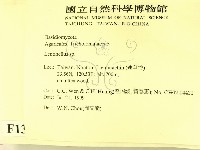 登錄號:F0013347藏品圖，第2張