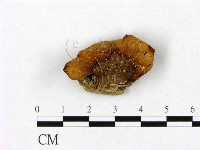登錄號:F0013347藏品圖，第1張