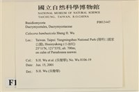 登錄號:F0013347藏品圖，第4張