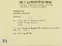 登錄號:F0013348藏品圖，第2張