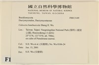 紅菇屬藏品圖，第4張