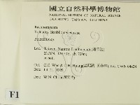 登錄號:F0013350藏品圖，第2張