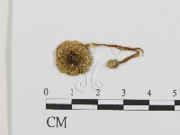 登錄號:F0013351藏品圖，第3張